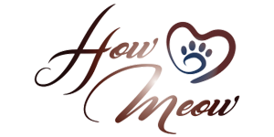 Корм How Meow для собак