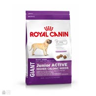 Royal Canin Giant Junior Active, корм для активных щенков крупных пород