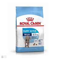 Royal Canin Maxi Puppy Active, корм для активных щенков крупных пород
