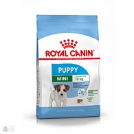 Royal Canin MINI JUNIOR