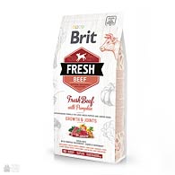 Brit Fresh Beef/Pumpkin Puppy Large, корм для щенков крупных пород, говядина c тыквой