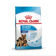 Royal Canin Maxi Starter, корм для щенков крупных пород