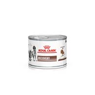 Royal Canin Recovery, консервы для собак и кошек поддержка и восстановление